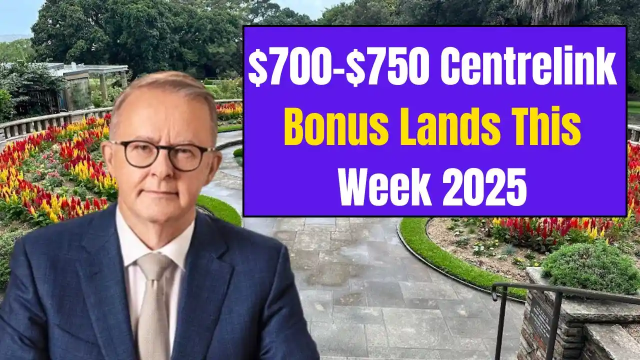 700–750 Centrelink Bonus Lands This Week